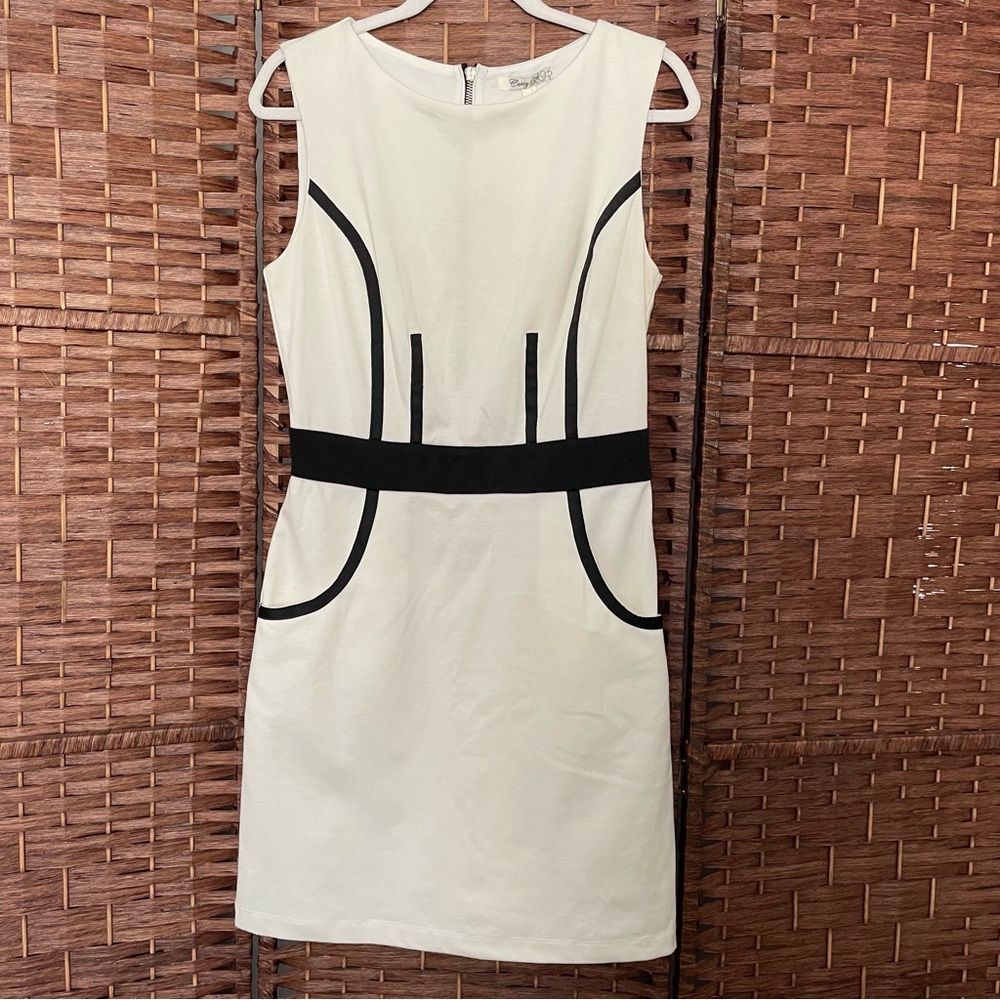 Corey P Sleeveless sheath dress with a zip-up back, Size 10. NWT.